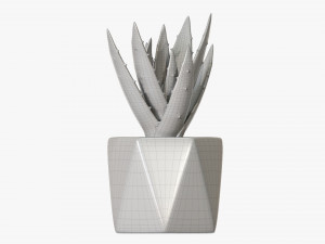 Decorative Potted Plant 10 3D Модель