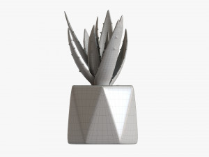 Decorative Potted Plant 10 3D Модель