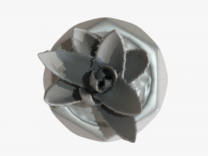 Decorative Potted Plant 10 3D Модель