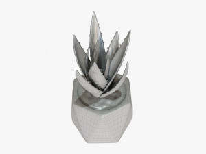Decorative Potted Plant 10 3D Модель