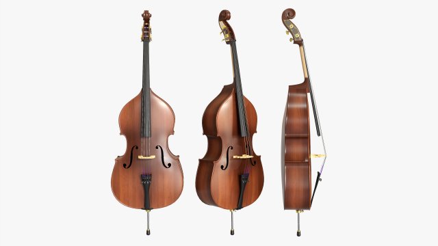 Double Bass 01 Modèle 3D .c4d .max .obj .3ds .fbx .stl .blend 