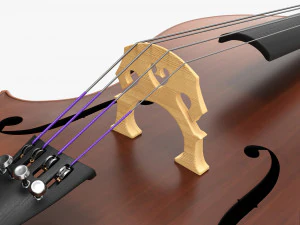 Контрабас 01 3D Модель