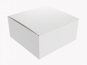 Gift Box Paper 04 3D Model