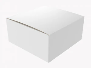 Gift Box Paper 04 3D Model