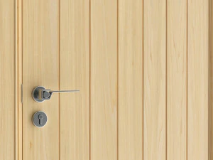 Modern Door 01 3D Model