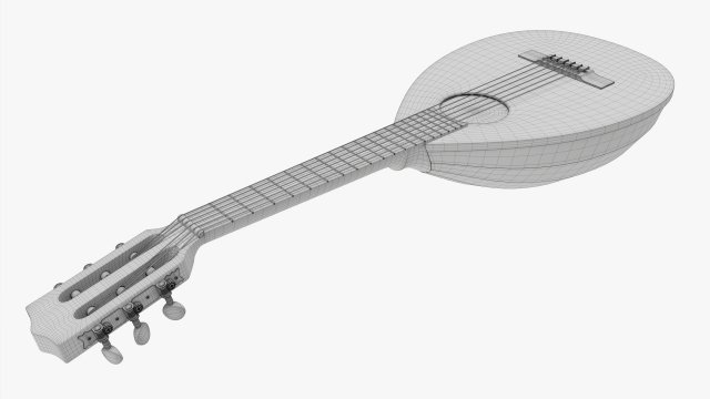 Lute string family instruments store