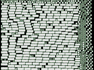 Pala Carillon Modello 3D