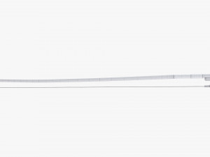 Violin Bow 3D 模型