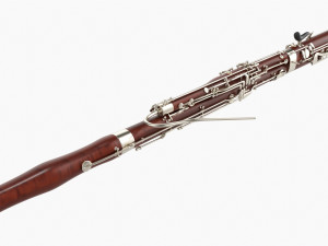 Bassoon 3D Model