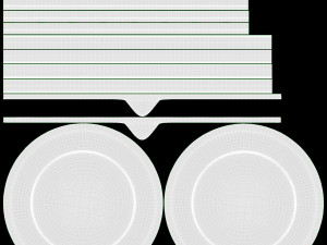 Eco Friendly Plate 3Dモデル