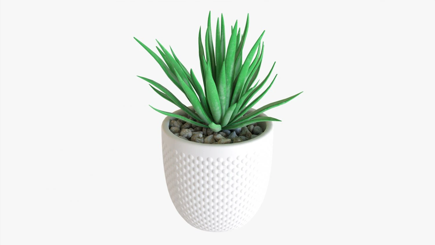 Decorative Potted Plant Succulent 11 3D Model .c4d .max .obj .3ds .fbx .stl .blend 