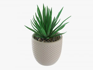 Decorative Potted Plant Succulent 11 3D Model