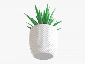 Decorative Potted Plant Succulent 11 3Dモデル