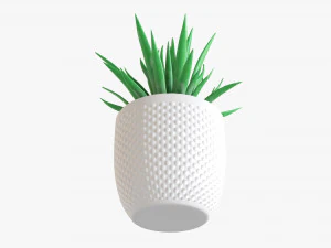 Decorative Potted Plant Succulent 11 3D Model