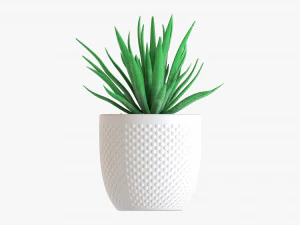 Decorative Potted Plant Succulent 11 3D Model