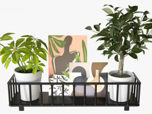 Decorative Wall Shelf With Plants 03 3D मॉडल