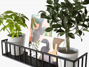 Decorative Wall Shelf With Plants 03 3D मॉडल