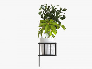Decorative Wall Shelf With Plants 03 3D मॉडल