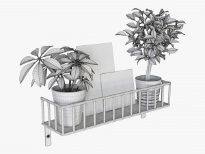 Decorative Wall Shelf With Plants 03 3D मॉडल