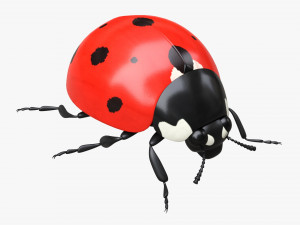 Ladybug 3D Model