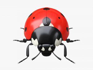 Ladybug 3D मॉडल
