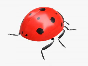 Ladybug 3D Model