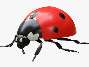 Ladybug 3D मॉडल