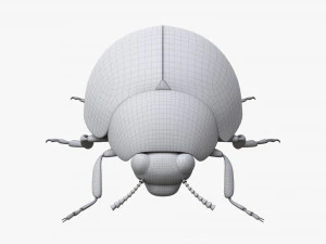 Ladybug 3D Model