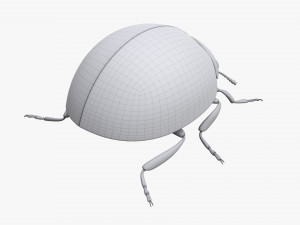 Ladybug 3D मॉडल