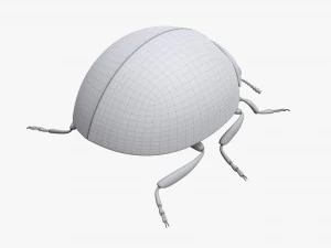 Ladybug 3D Model