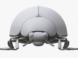 Ladybug 3D मॉडल