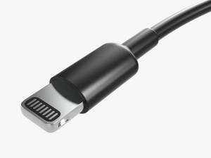 Lightning Cable Double sided Black 3D 模型