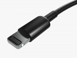 Lightning To Usb C Cable Black Modèle 3D