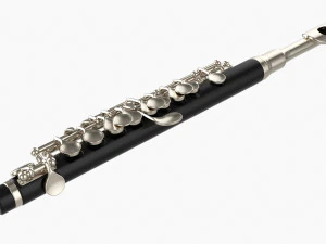 Flauto piccolo Modello 3D
