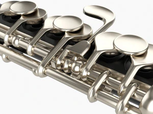 Flauto piccolo Modello 3D