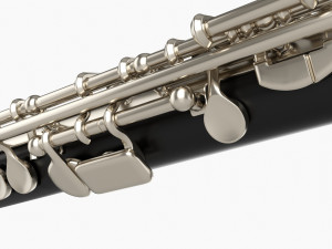 Piccolo Flute Modello 3D