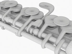 Flauto piccolo Modello 3D