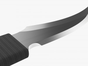 Double Bladed Throwing Knife Modèle 3D
