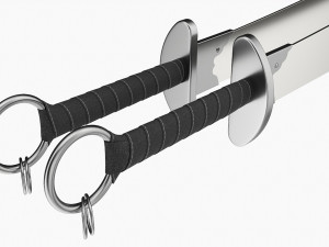 Double Wushu Broadswords 3D 모델