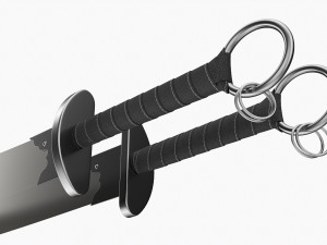 Double Wushu Broadswords 3D 모델
