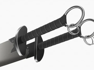 Double Wushu Broadswords 3D Model