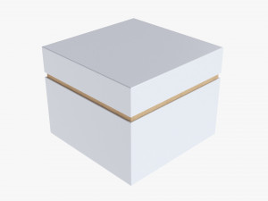 Paper Gift Box Mockup 08 3D Model