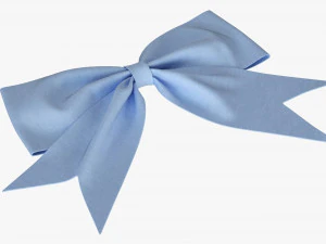 Small Ribbon Decoration Fabric Blue 3D Model
