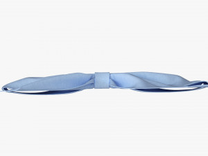 Small Ribbon Decoration Fabric Blue 3D Модель