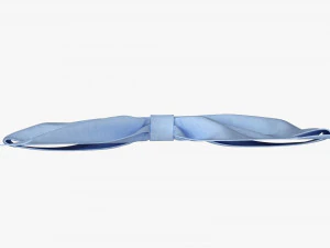 Small Ribbon Decoration Fabric Blue 3D Model