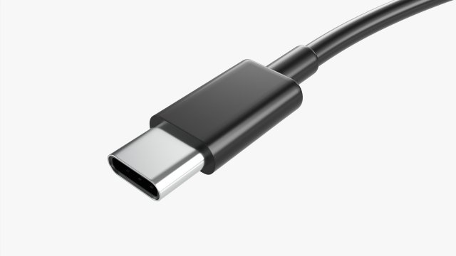 USB C Cable Double sided Black 3D Model in Other 3DExport