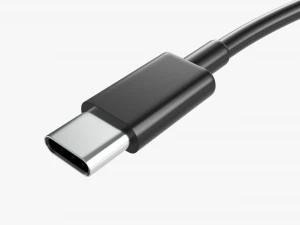 Cavo USB C bifacciale Nero Modello 3D