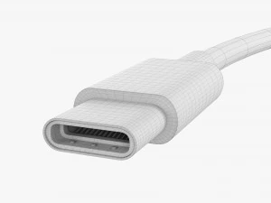 USB C Cable Doublesided White 3D Model