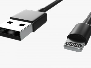 USB C Lightning Cables Set Black Modèle 3D