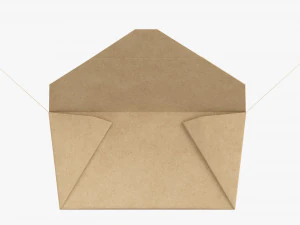 Kraft Paper Take-Away Container Open 3D Model